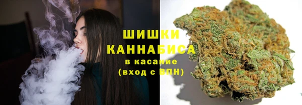 крисы Киреевск