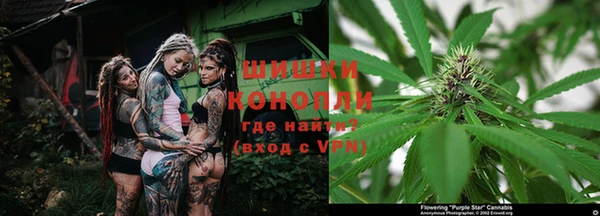 молекула духа Кинешма