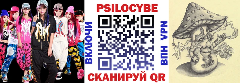 Купить  Городец  Галлюциногенные грибы MAGIC MUSHROOMS 